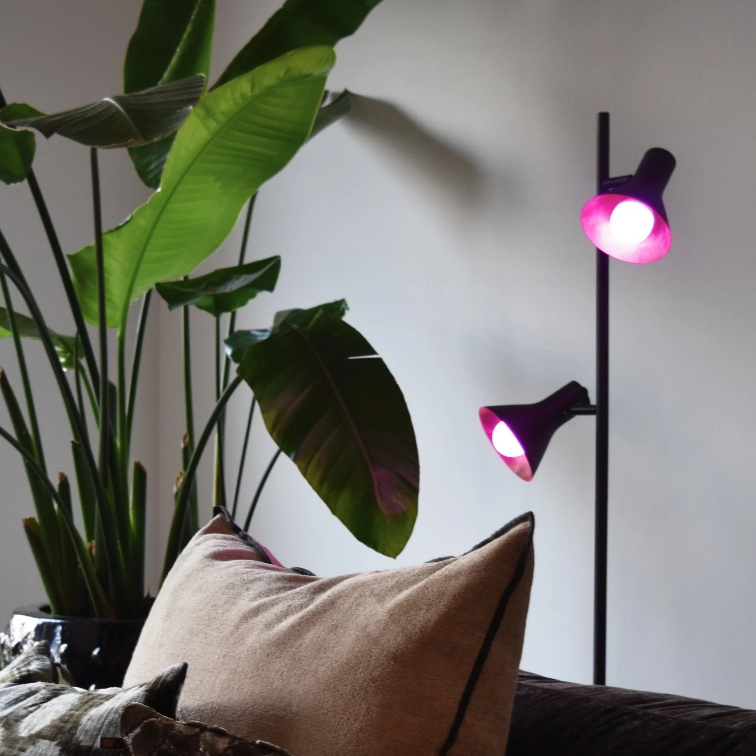 Calex Smart LED Bulb - E14 - B35 - RGB + CCT - Image 4